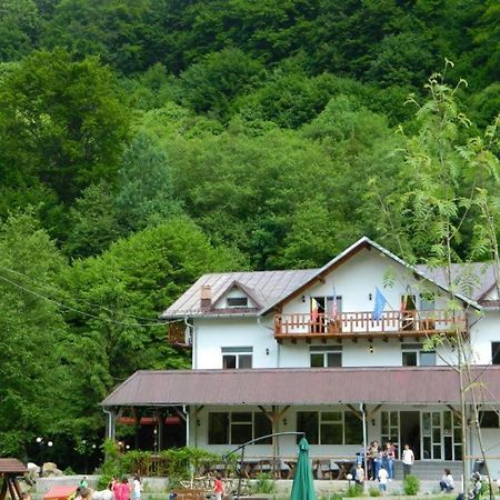 Pensiunea Valea Negrasului Traisteni Экстерьер фото