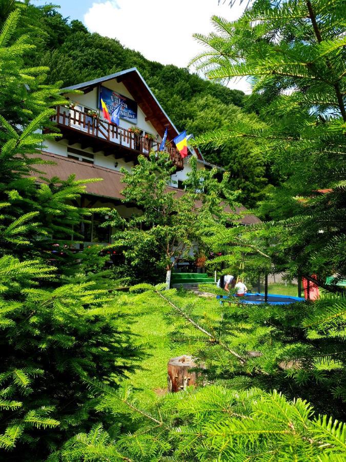 Pensiunea Valea Negrasului Traisteni Экстерьер фото
