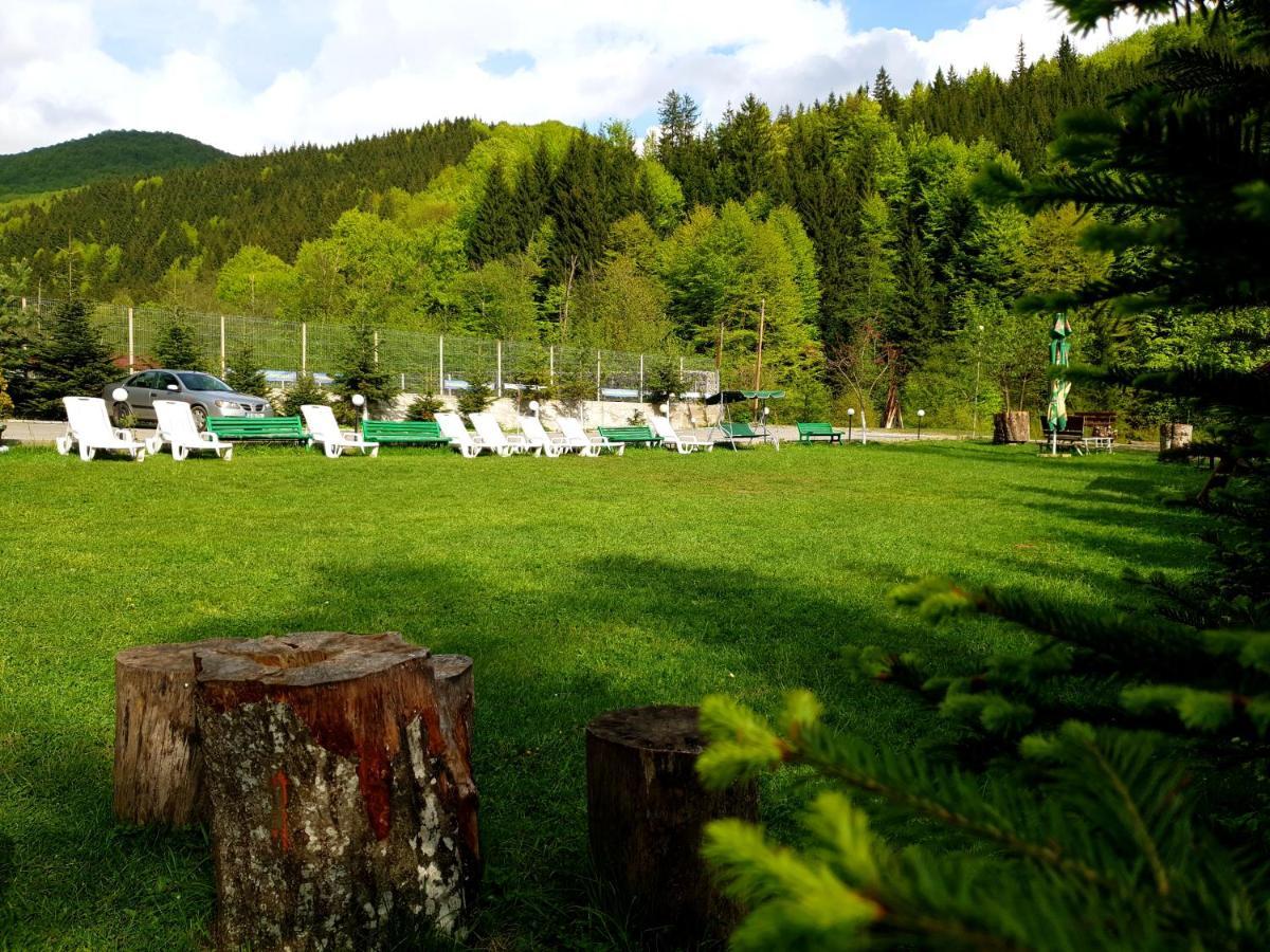 Pensiunea Valea Negrasului Traisteni Экстерьер фото