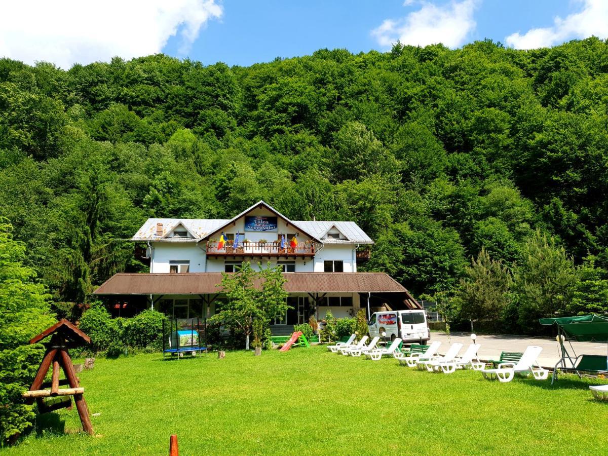 Pensiunea Valea Negrasului Traisteni Экстерьер фото