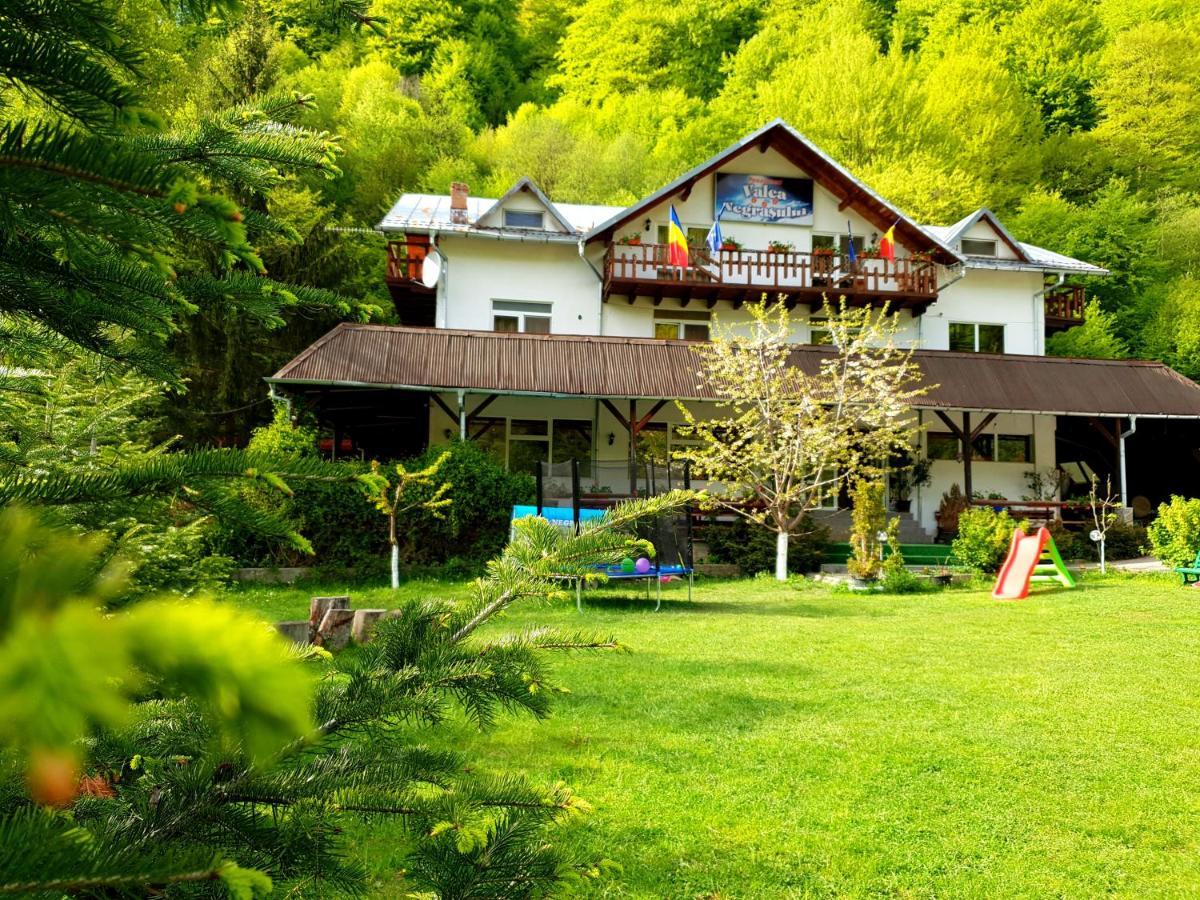 Pensiunea Valea Negrasului Traisteni Экстерьер фото