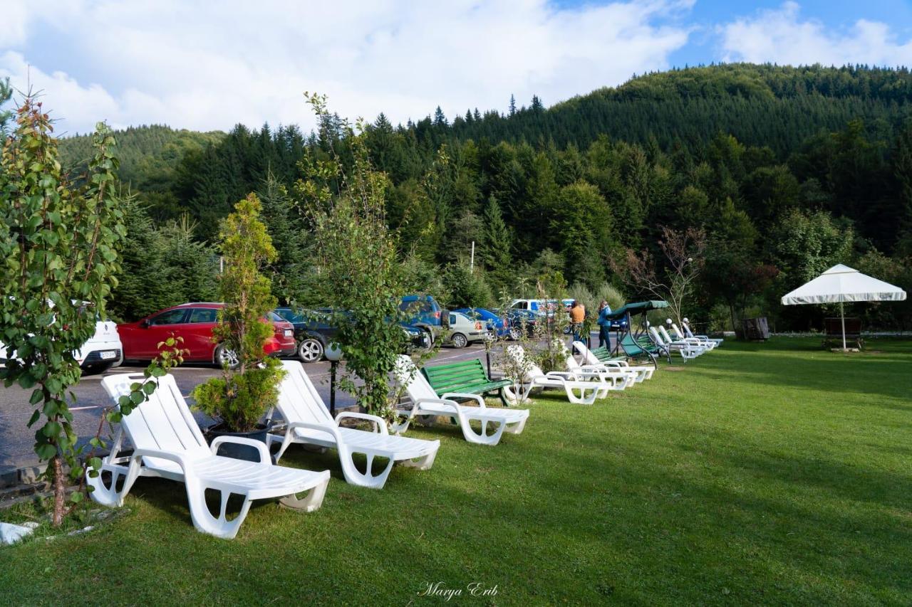 Pensiunea Valea Negrasului Traisteni Экстерьер фото