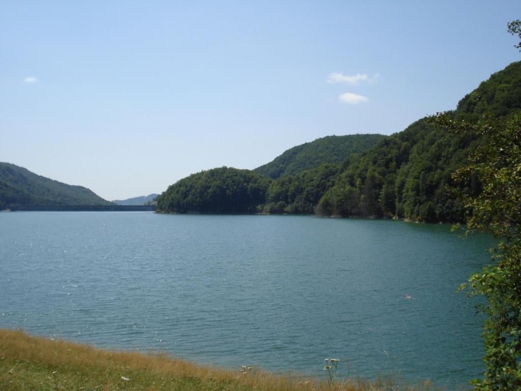 Pensiunea Valea Negrasului Traisteni Экстерьер фото