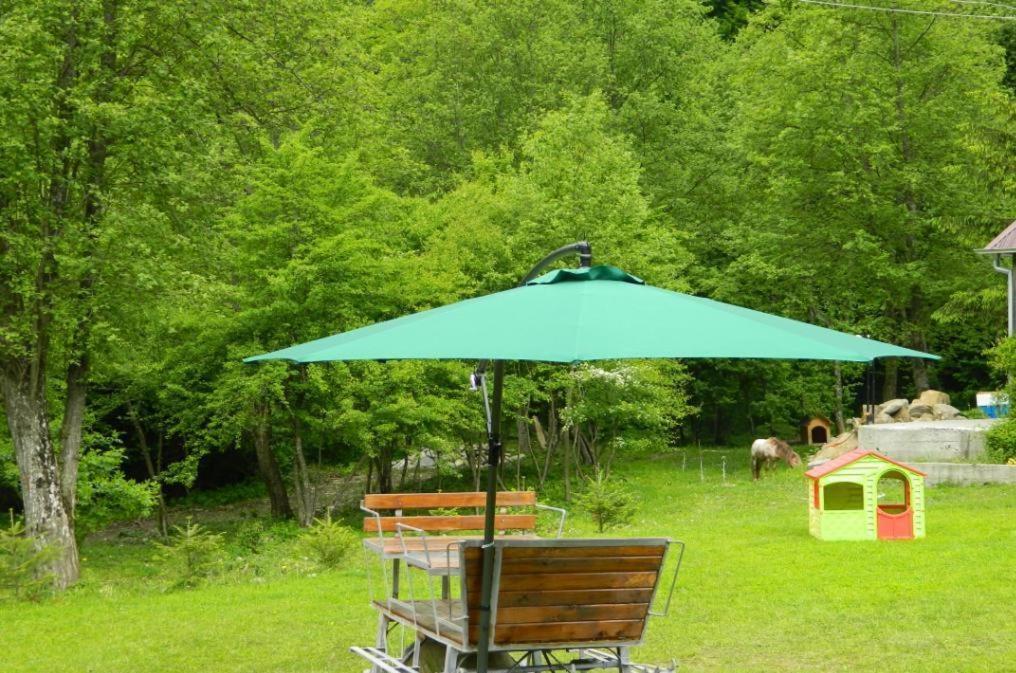 Pensiunea Valea Negrasului Traisteni Экстерьер фото