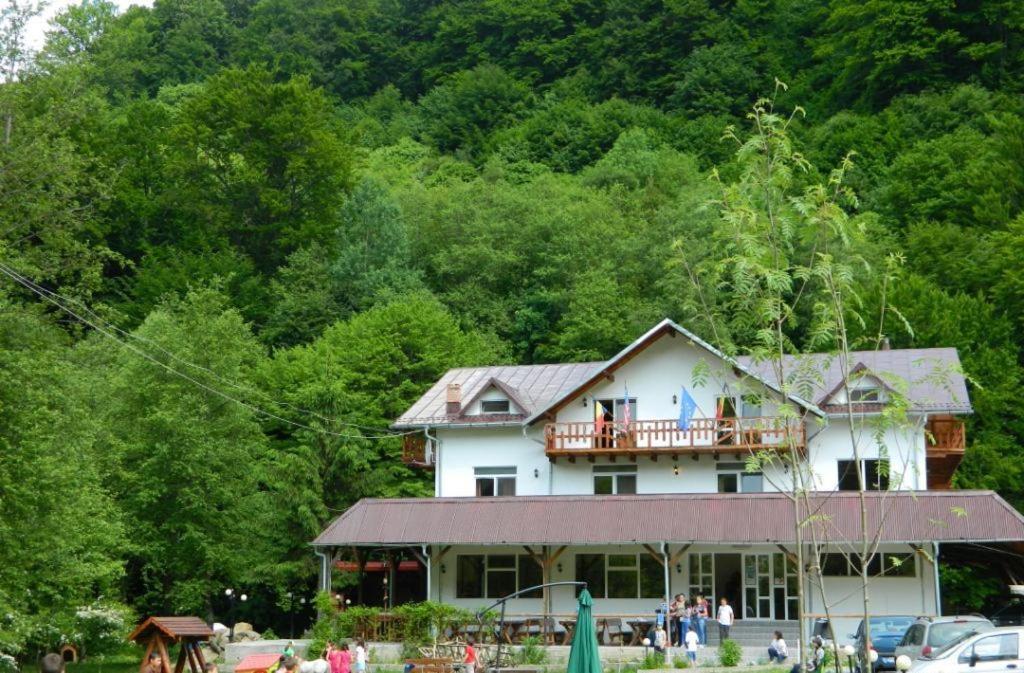 Pensiunea Valea Negrasului Traisteni Экстерьер фото